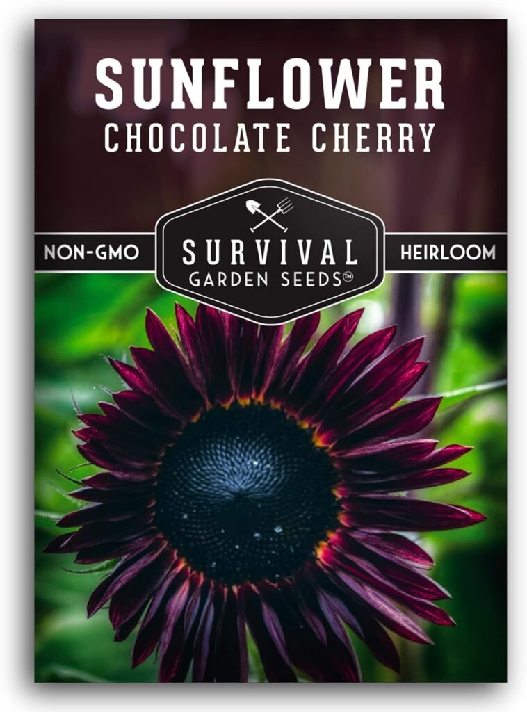 Survival Garden Seeds - Chocolate Cherry Sunflower Seed for Planting - Packet with Instructions to Plant and Grow Beautiful Flowers in Your Home Vegetable or Flower Garden - Non-GMO Heirloom Variety