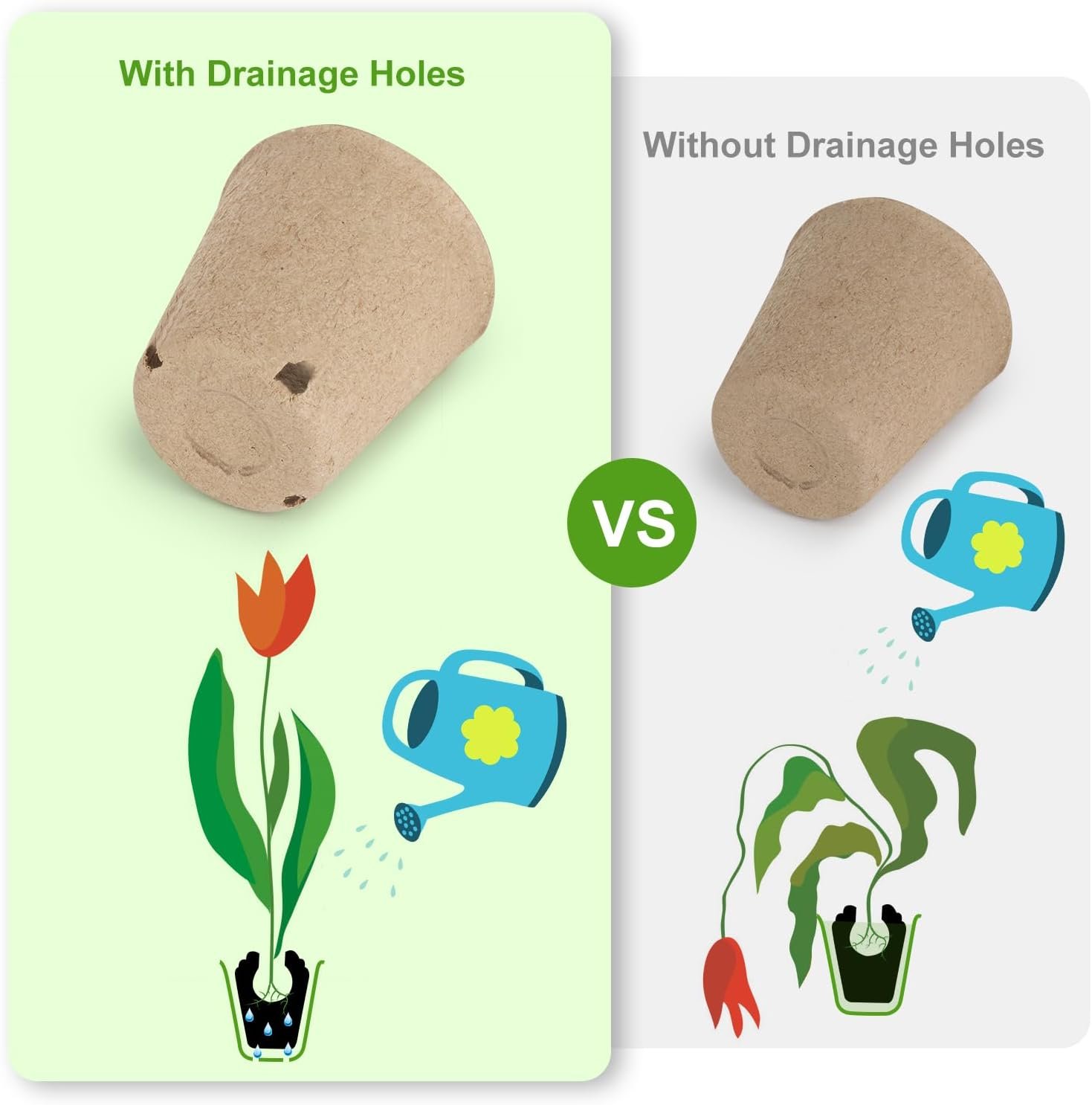 Comparing 3 Biodegradable Peat Pots: Size, Quantity, and Accessories