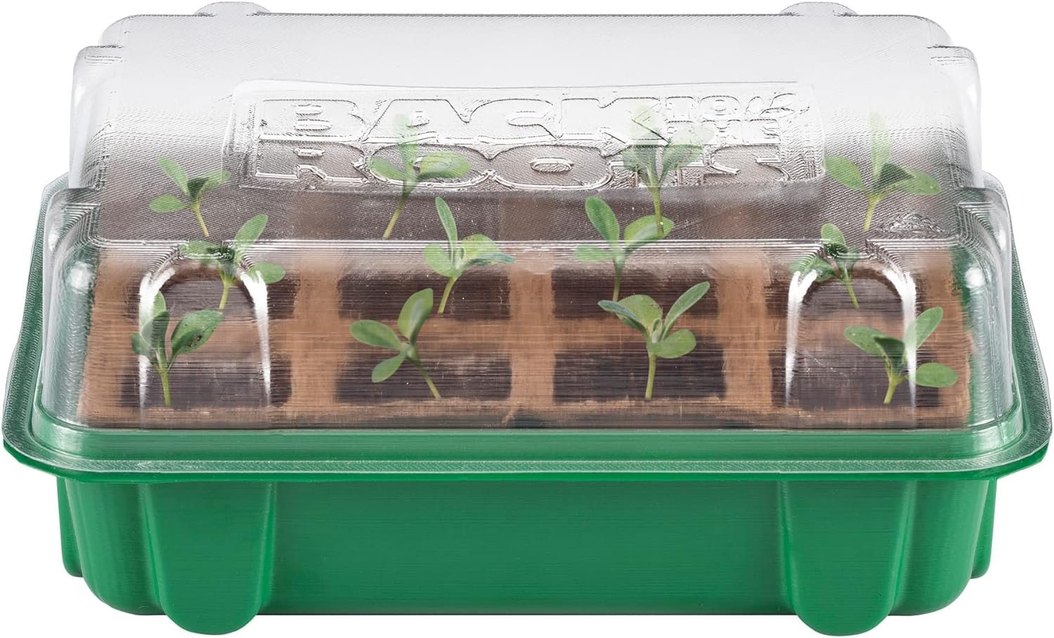 Comparing Biodegradable Seed Starting Pots: Back to the Roots, Homenote, & 100PCS