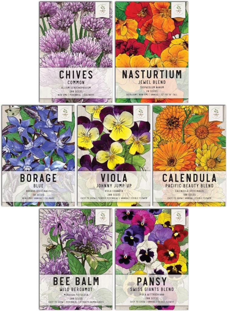 Seed Needs, Edible Wildflower Seed Packet Collection (7 Varieties of Flower Seed for Planting) Non-GMO  Untreated - Includes Viola, Pansies, Chives, Borage, Calendula, Nasturtium and Bee Balm