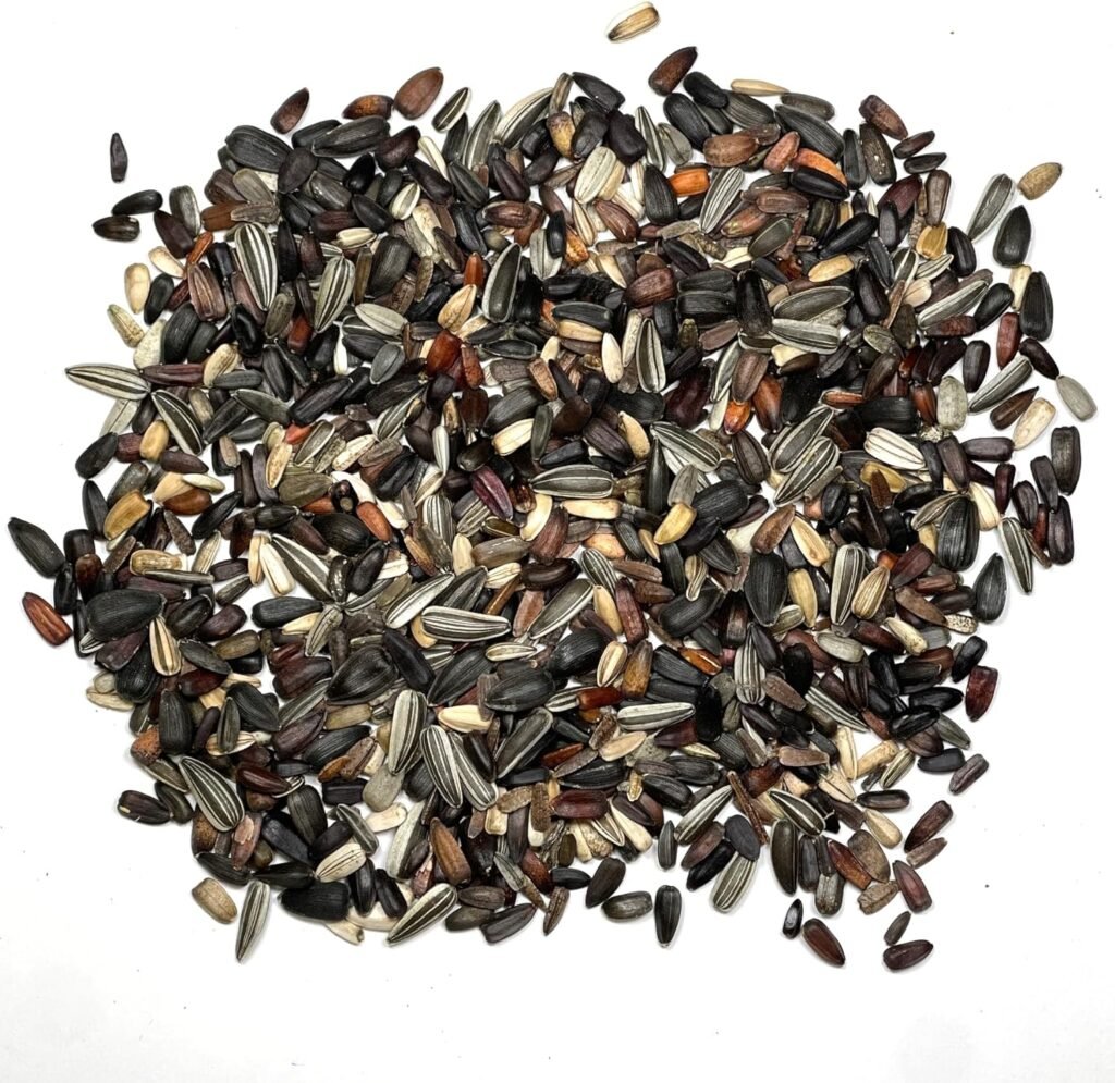 Seed Needs, Specialty Blend of 1,000+ Sunflower Seeds for Planting (15+ Varieties, Crazy Mixture) Heirloom, Open Pollinated  Untreated - Attracts Butterflies  Bees Bulk