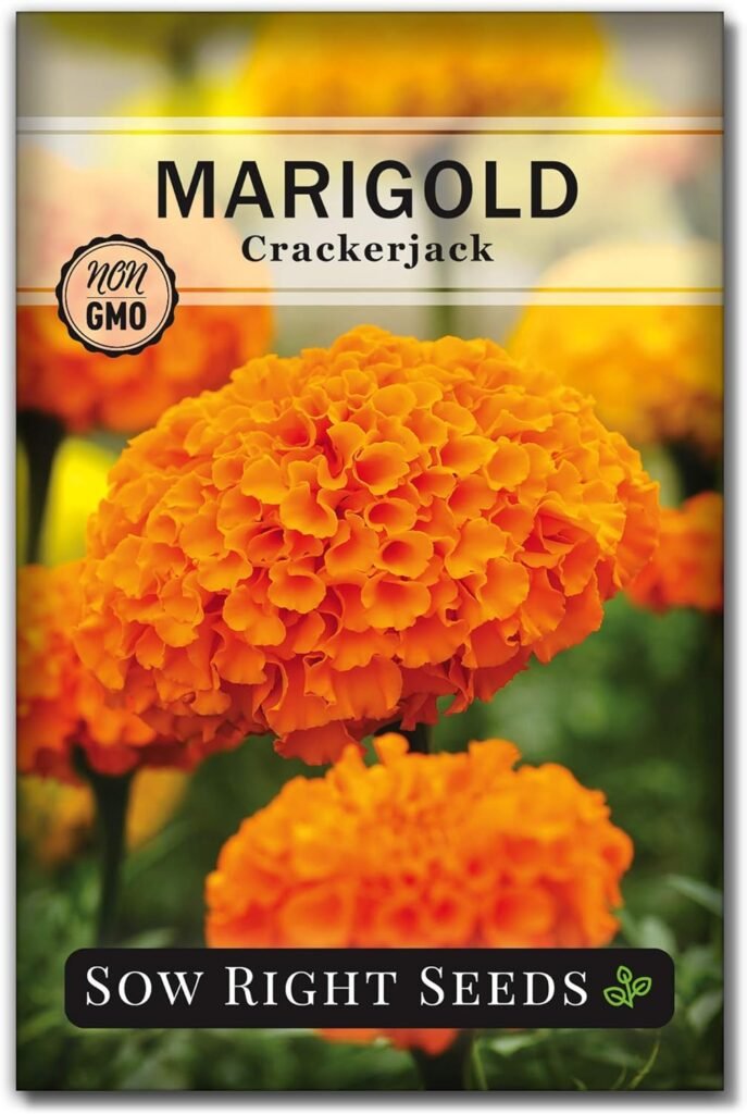 Sow Right Seeds Crackerjack Marigold Seeds for Planting - Non-GMO Heirloom Seed Packet with Instructions - Companion Plant - Orange  Yellow Blooms Attract Bees and Butterflies, Deter Mosquitoes (1)