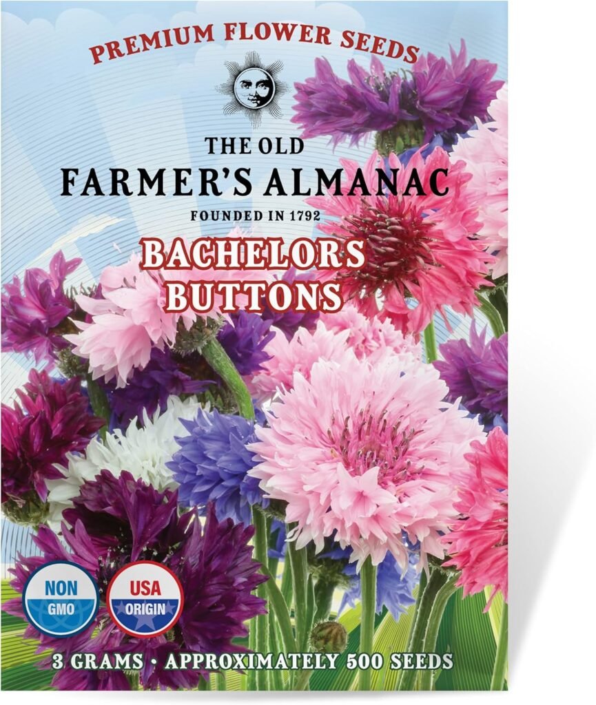 The Old Farmers Almanac Bachelors Buttons Seeds - Approx 500 Flower Seeds - Non-GMO, Premium, Open Pollinated